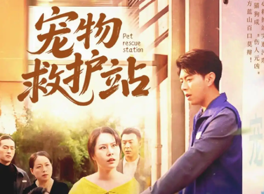 宠物救护站，短剧