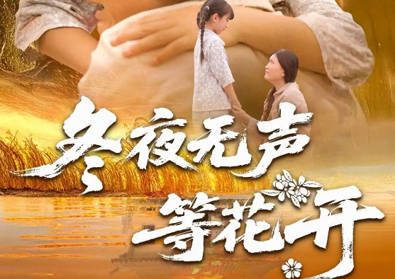 冬夜无声等花开，短剧