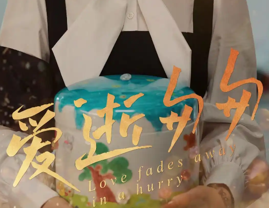 《爱逝匆匆》短剧