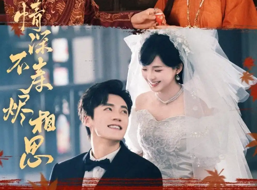 《情深不寿烬相思》短剧